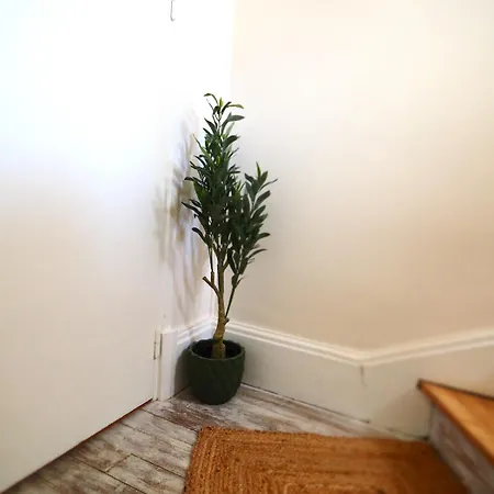 Nouveaute 2026 Maison Boheme Avec 2 Et Jardin-terrasse Bellerive-sur-Allier